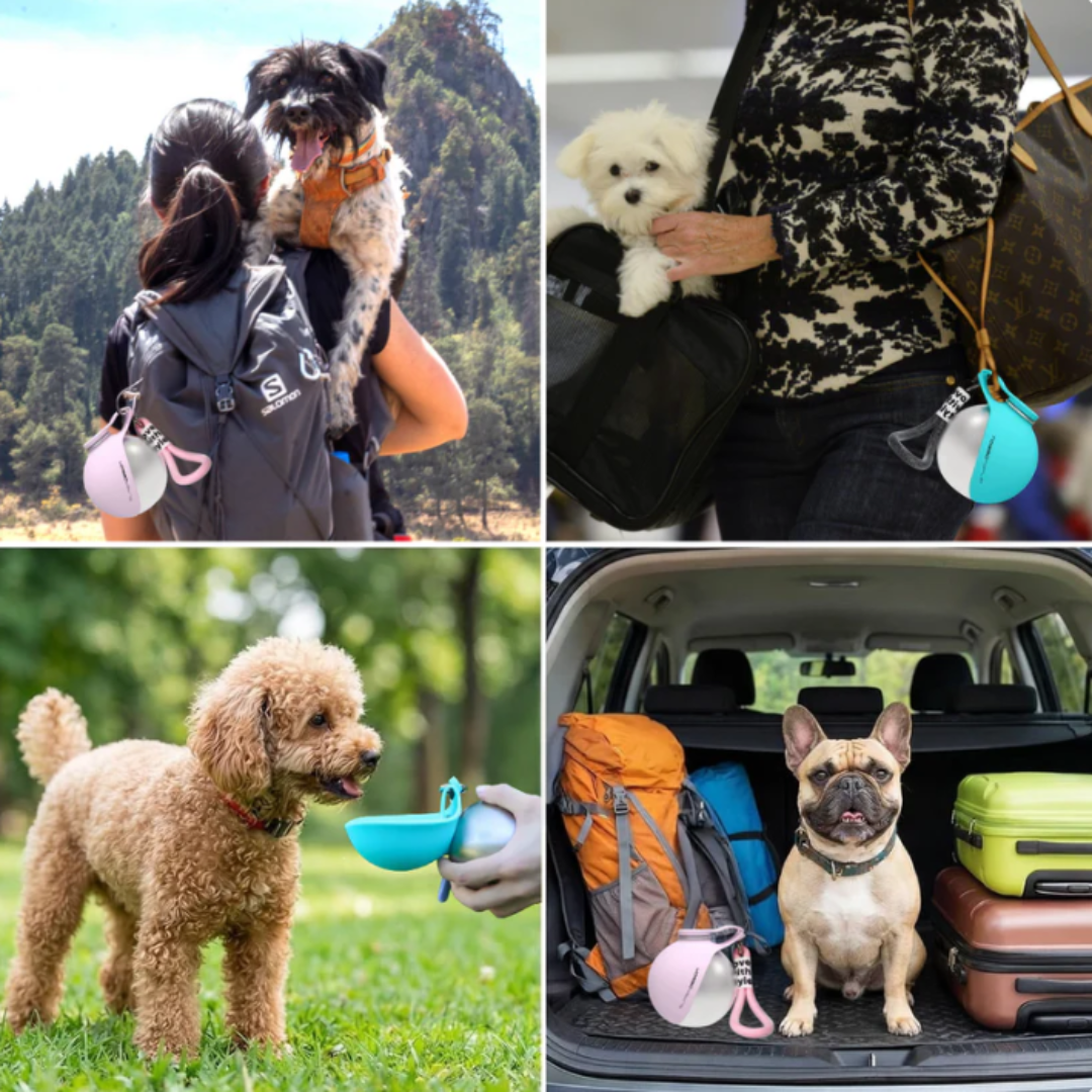 PawSip™ Portable Dog Water Bottle